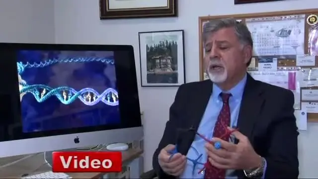 Yaşlanan Avrupa'ya İlaç Olacağız