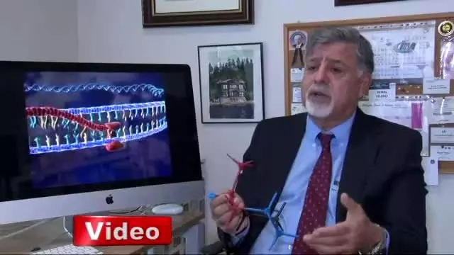 Yaşlanan Avrupa'ya İlaç Olacağız