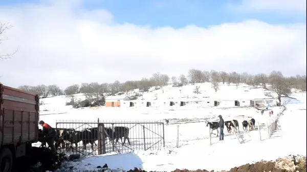 Hasta Çocuk İçin Seferber Olundu