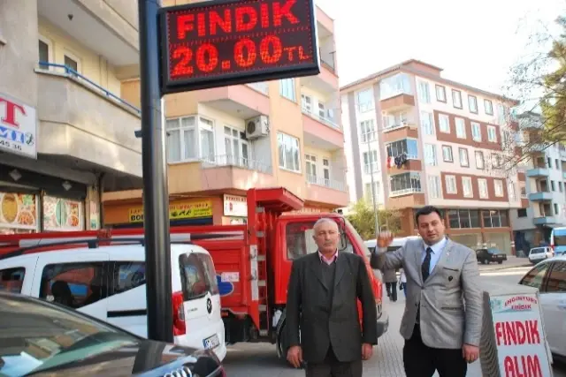 Fındık Kendi Rekorunu Kırdı Fındık Kendi Rekorunu Kırdı