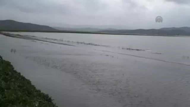 Sağanak Nedeniyle 30 Bin Dönüm Tarım Arazisi Zarar Gördü' - K. Sağanak Nedeniyle 30 Bin Dönüm Tarım Arazisi Zarar Gördü' - K.