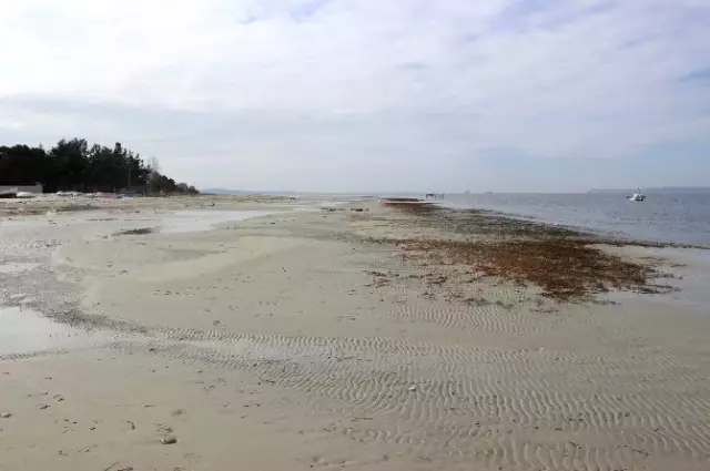 Çanakkale'de Deniz Çekildi