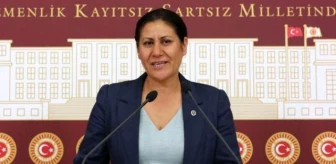 CHP'li Sakine Öz, Minik Enes'in Durumunu TBMM'ye Taşıdı