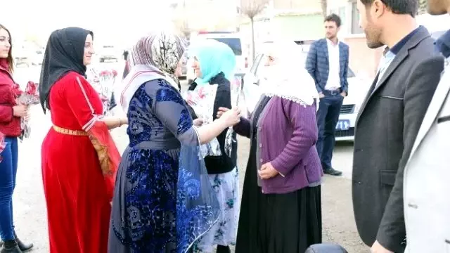 Gürpınarlı Kadınlara Karanfil Dağıtıldı Gürpınarlı Kadınlara Karanfil Dağıtıldı