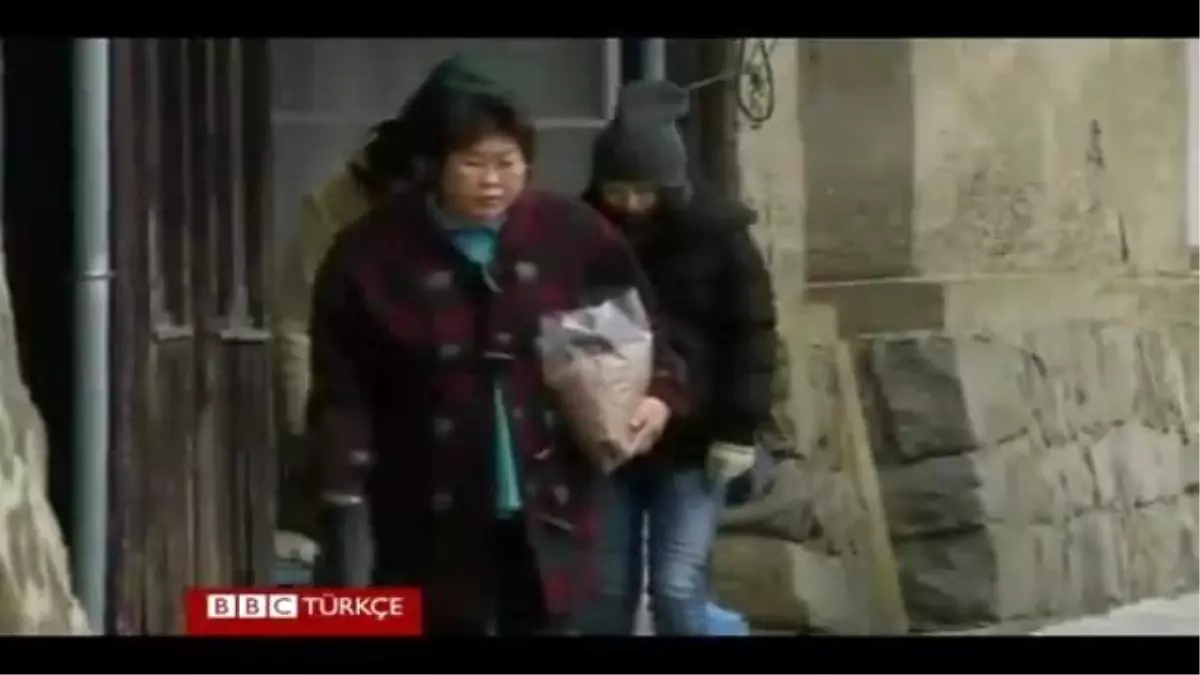 Japonya Nin Kedi Adasi Nda 22 Insan 120 Den Fazla Kedi Yasiyor Haber