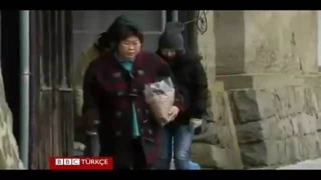 Japonya Nin Kedi Adasi Nda 22 Insan 120 Den Fazla Kedi Yasiyor Haber