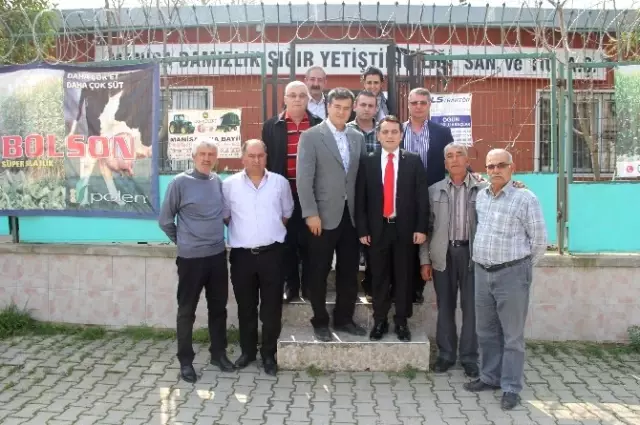 Eryılmaz'dan Manisa Damızlık Sığır Yetiştiricilerine Ziyaret Eryılmaz'dan Manisa Damızlık Sığır Yetiştiricilerine Ziyaret