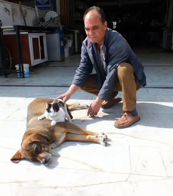 Marmaris�te Köpek, Kedi Yavrusunu Emziriyor Haberler
