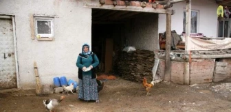 Yozgat CHP'de Kadın Aday Ağırlığı