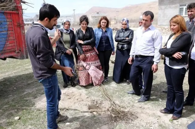 Gürpınar'da Fidan Dikimi Gürpınar'da Fidan Dikimi