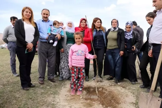 Gürpınar'da Fidan Dikimi Gürpınar'da Fidan Dikimi