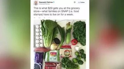 Gwyneth Paltrow Challenged To Eat Like She's On Food Stamps Gwyneth Paltrow Challenged To Eat Like She's On Food Stamps