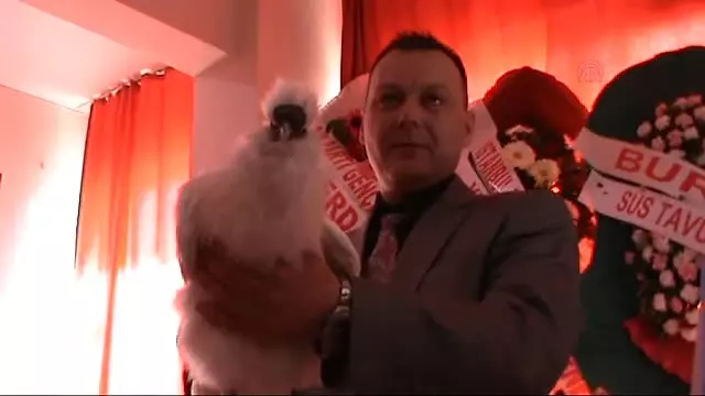 Bu Tavukların Yumurtaları da Çok Kazançlı Bu Tavukların Yumurtaları da Çok Kazançlı