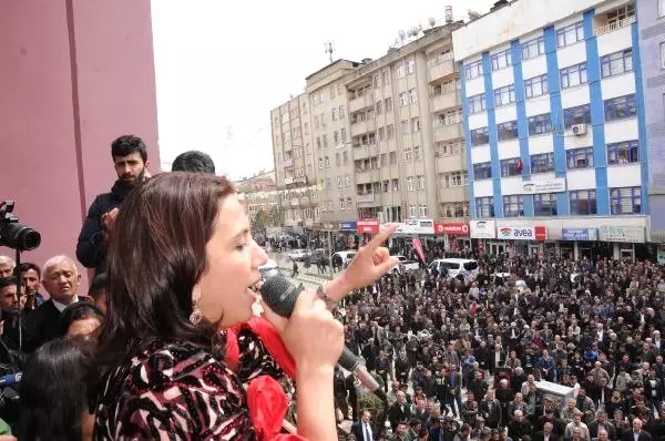 Hakkari'de HDP'li Adayları Tanıtıldı