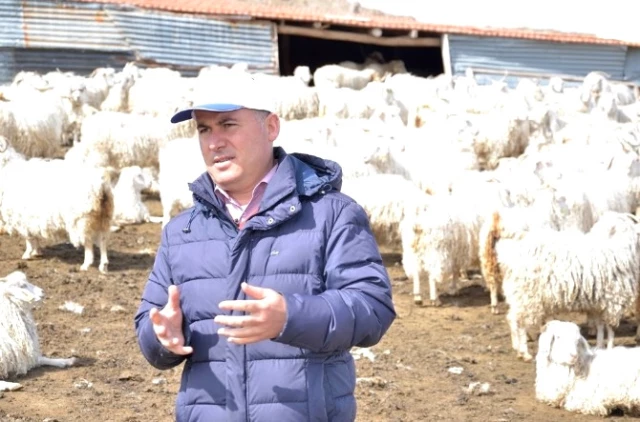 Damızlık Koyun Keçi Üreticileri Birliği Başkanı Hasan Kılıç Açıklaması