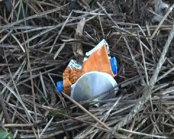 Beykoz'daki Orman Yangını 1 Saatte Kontrol Altına Alındı Beykoz'daki Orman Yangını 1 Saatte Kontrol Altına Alındı
