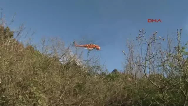 Beykoz'daki Orman Yangını Kontrol Altına Alındı Beykoz'daki Orman Yangını Kontrol Altına Alındı
