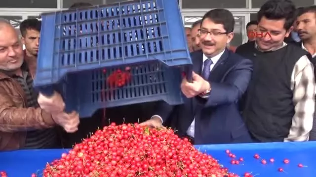 Manisa'da Sezonun İlk Kirazı 150 Liradan Alıcı Buldu Manisa'da Sezonun İlk Kirazı 150 Liradan Alıcı Buldu