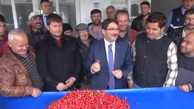 Manisa'da Sezonun İlk Kirazı 150 Liradan Alıcı Buldu Manisa'da Sezonun İlk Kirazı 150 Liradan Alıcı Buldu