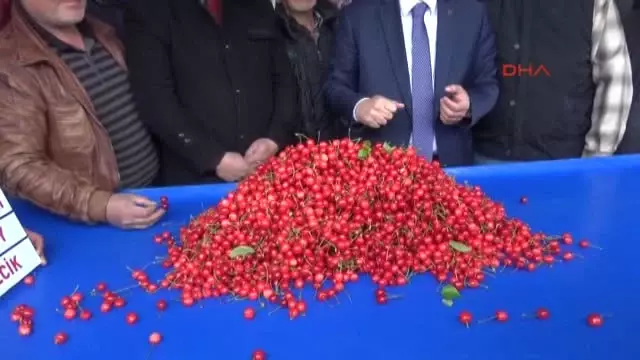 Manisa'da Sezonun İlk Kirazı 150 Liradan Alıcı Buldu Manisa'da Sezonun İlk Kirazı 150 Liradan Alıcı Buldu