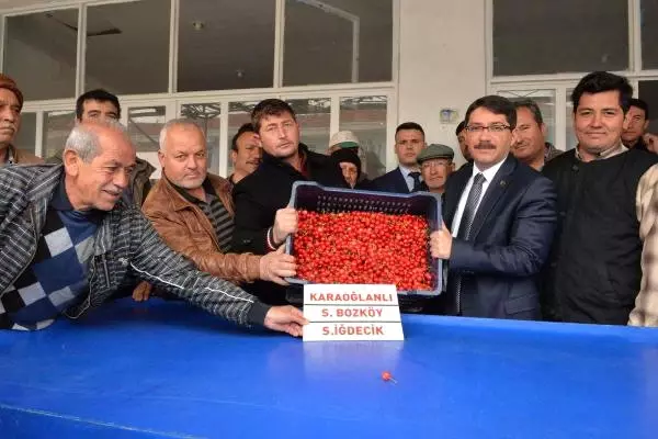 Manisa'da Sezonun İlk Kirazı 150 Liradan Alıcı Buldu Manisa'da Sezonun İlk Kirazı 150 Liradan Alıcı Buldu