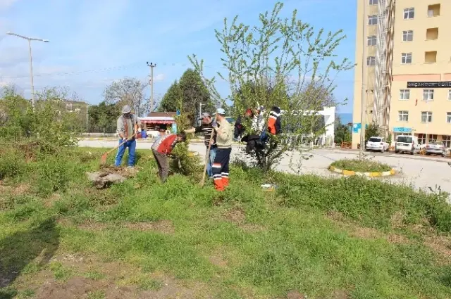 Akçakoca Yeşillendiriliyor Haberler