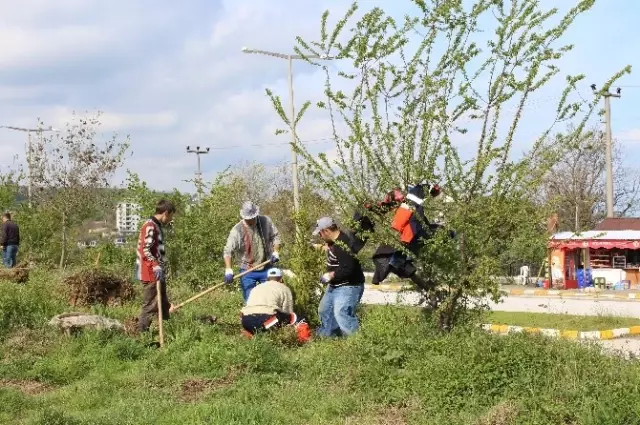 Akçakoca Yeşillendiriliyor Haberler