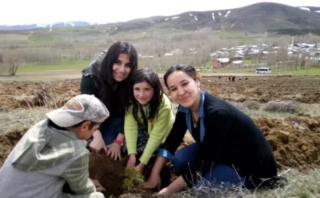 Bayburt Üniversitesi Öğrencileri Üç Bin Fidan Dikti Haberler