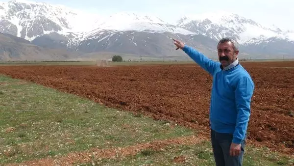 TKP'li Başkan, Hazine Arazisine Ektiği Ürünleri Yoksullara Dağıtacak TKP'li Başkan, Hazine Arazisine Ektiği Ürünleri Yoksullara Dağıtacak