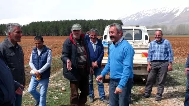TKP'li Başkan, Hazine Arazisine Ektiği Ürünleri Yoksullara Dağıtacak TKP'li Başkan, Hazine Arazisine Ektiği Ürünleri Yoksullara Dağıtacak