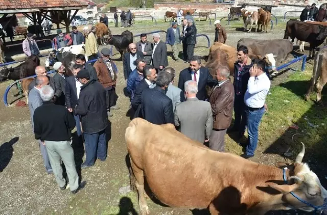 MHP'li Adaylar, Doğanyurt ve Tosya İlçesini Ziyaret Etti MHP'li Adaylar, Doğanyurt ve Tosya İlçesini Ziyaret Etti
