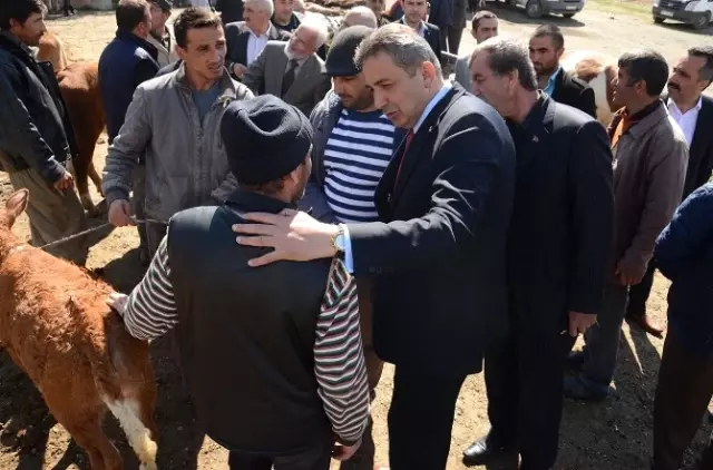 MHP'li Adaylar, Doğanyurt ve Tosya İlçesini Ziyaret Etti MHP'li Adaylar, Doğanyurt ve Tosya İlçesini Ziyaret Etti
