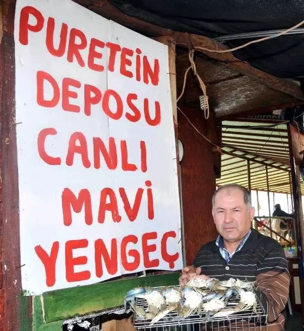 Puretein Deposu Mavi Yengec Ilgi Goruyor Antalya