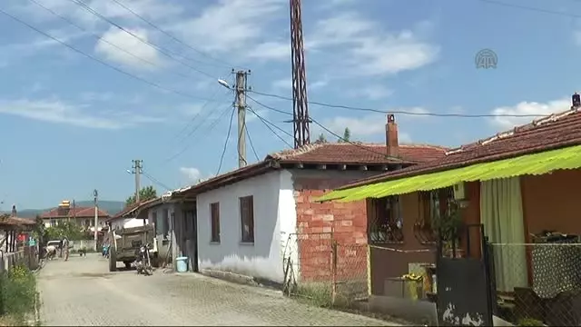 Evinin Kolonundan 'Elektrik Direği' Çıktı Evinin Kolonundan 'Elektrik Direği' Çıktı