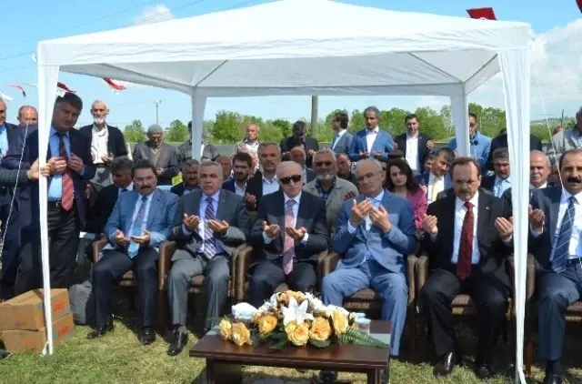 Bafra Ovası'nda 'Çeltik Ekim Günü'