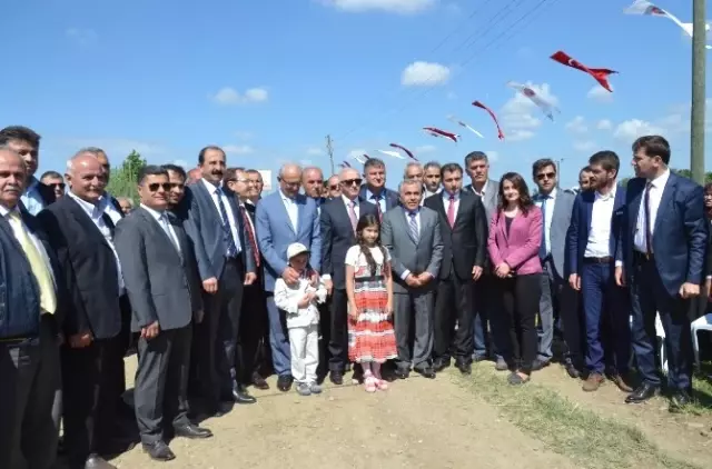 Bafra Ovası'nda 'Çeltik Ekim Günü'