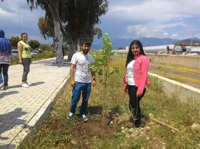 Kmyo Öğrencileri, Yürüyüş Yoluna Çınar Fidanı Dikti Kmyo Öğrencileri, Yürüyüş Yoluna Çınar Fidanı Dikti