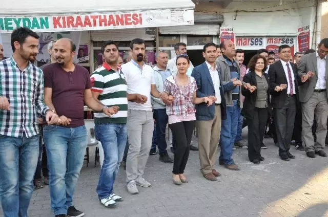 Derik'te Kürt Dil Bayramı Kutlandı Derik'te Kürt Dil Bayramı Kutlandı