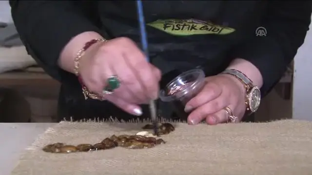 Fıstık Kabuğunu Sanat Eserine Dönüştürüyor Fıstık Kabuğunu Sanat Eserine Dönüştürüyor