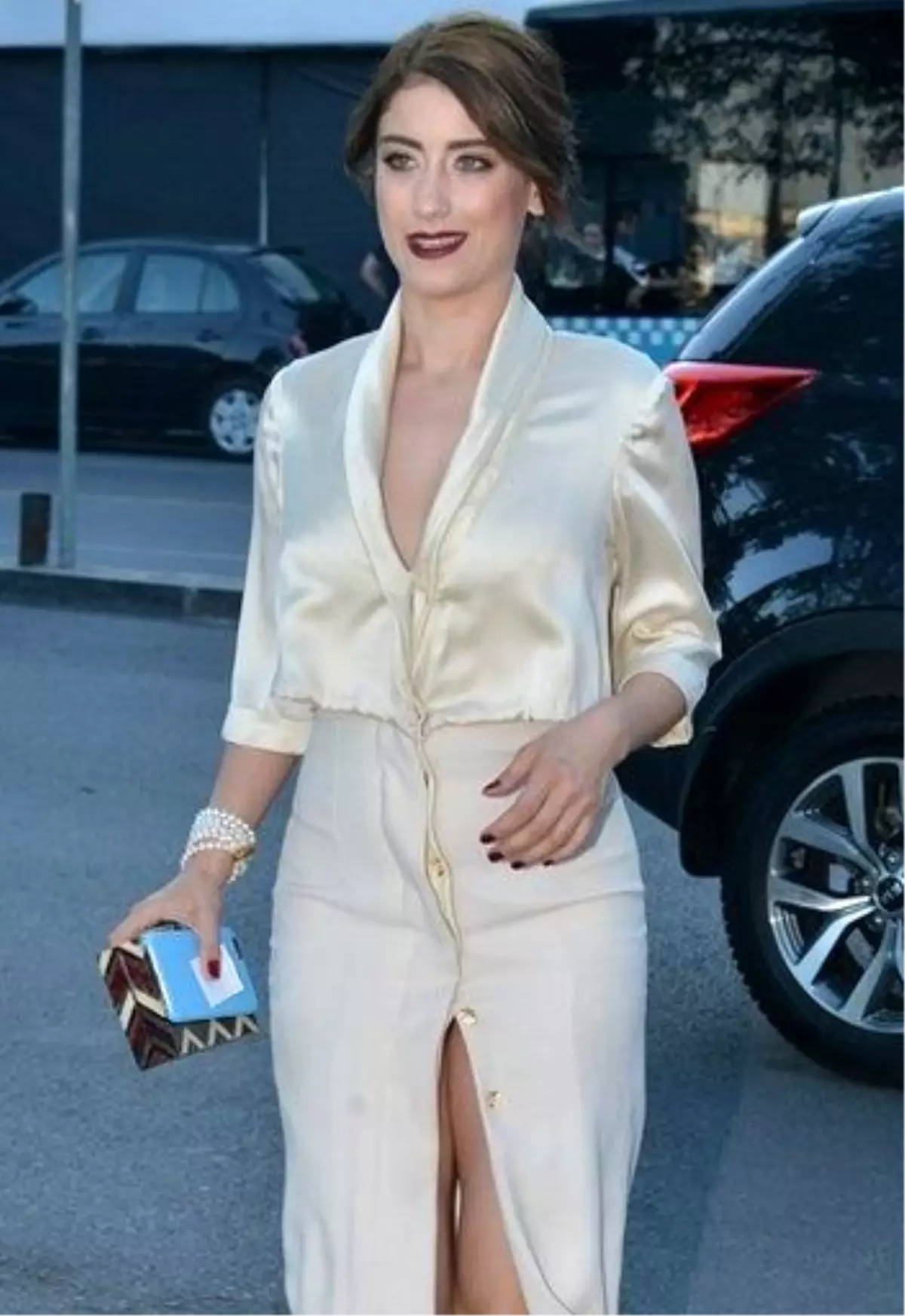 Hazal kaya zebra elbise