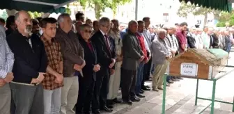son dakika haberleri