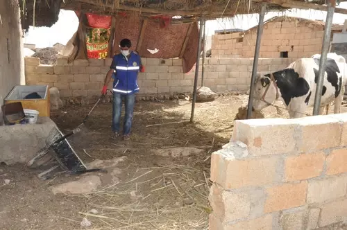 Belediye, İlaçlama Çalışmalarına Devam Ediyor Belediye, İlaçlama Çalışmalarına Devam Ediyor