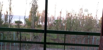 Ukrayna'nın Doğusundaki Ateşkes İhlalleri - Ayrılıkçıların Havan Saldırısı