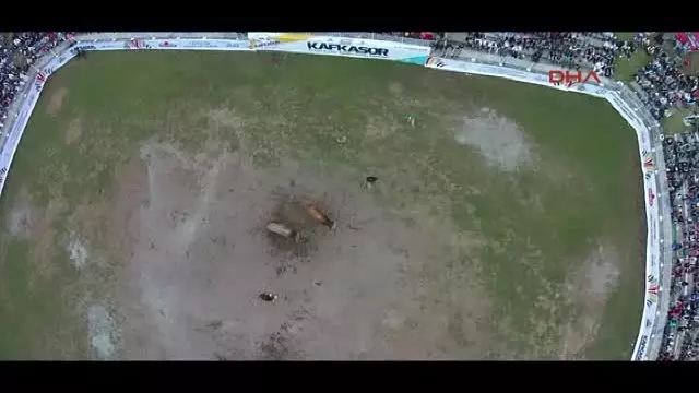 Artvin - Kafkasör?de Boğalar Arenada, Seyirciler Tribünde Kapıştı