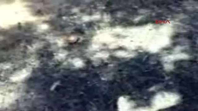 Erzurum 'Mezara Gömme' Görüntüsüyle Fuhuşa Zorlayanların Cezasını Yargıtay Onadı
