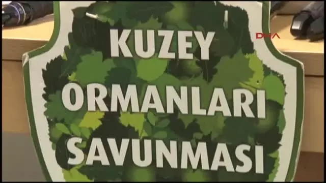 Kuzey Ormanları Savunması: 3. Köprü Artık 2 Beton Kuleden İbarettir Kuzey Ormanları Savunması: 3. Köprü Artık 2 Beton Kuleden İbarettir