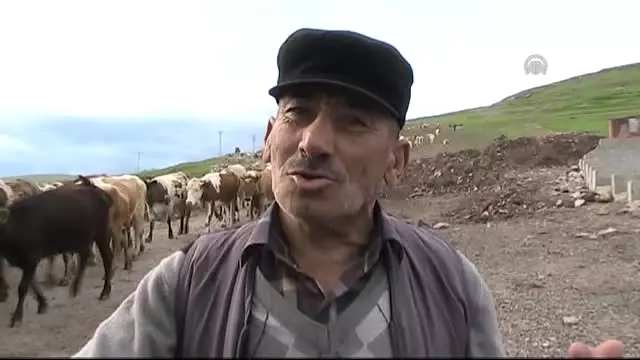 Damal'da Atatürk Silüeti, Görülmeye Başlandı