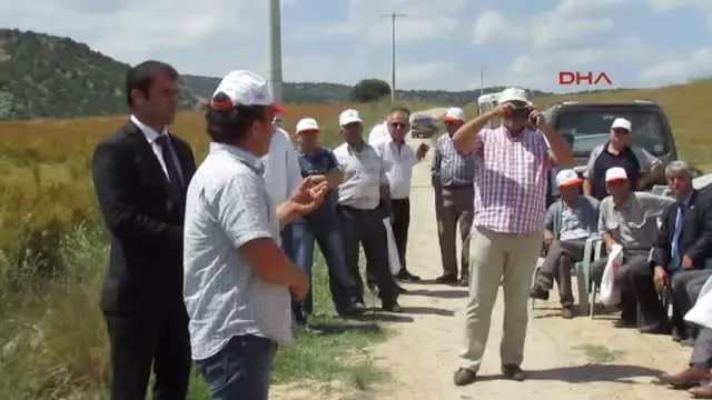 Tarla Gününde Deneme Amaçlı Ekilen Buğdaylar İncelendi