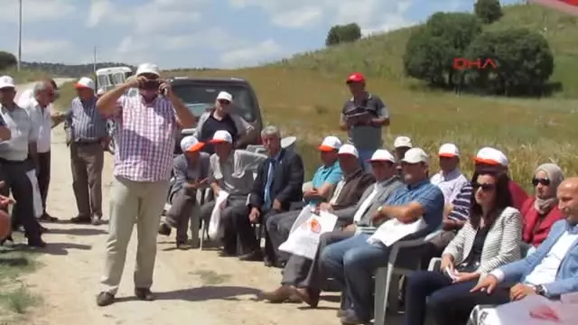 Tarla Gününde Deneme Amaçlı Ekilen Buğdaylar İncelendi