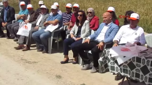 Tarla Gününde Deneme Amaçlı Ekilen Buğdaylar İncelendi